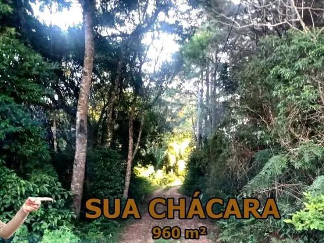 Sítio e chácara venda em Região Geográfica Imediata de Curitiba, Região Metropolitana de Curitiba
