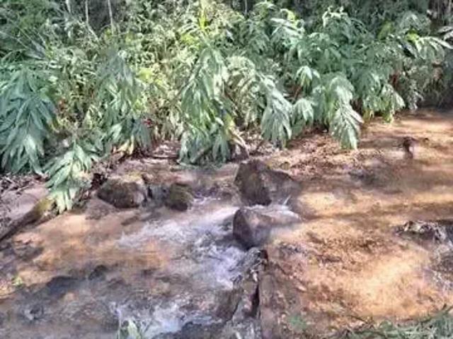 Sítio e chácara venda em Bocaiúva do Sul, Região Geográfica Intermediária de Curitiba