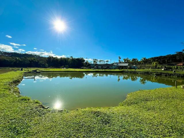 Sítio e chácara venda em Região Geográfica Imediata de Curitiba, Região Metropolitana de Curitiba