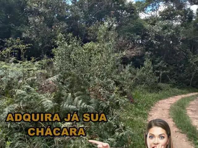 Sítio e chácara venda em Região Geográfica Imediata de Curitiba, Região Metropolitana de Curitiba