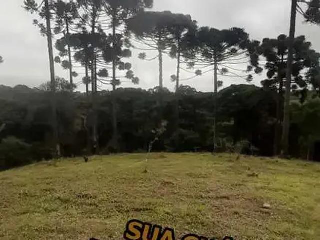 Sítio e chácara venda em Região Geográfica Imediata de Curitiba, Região Metropolitana de Curitiba