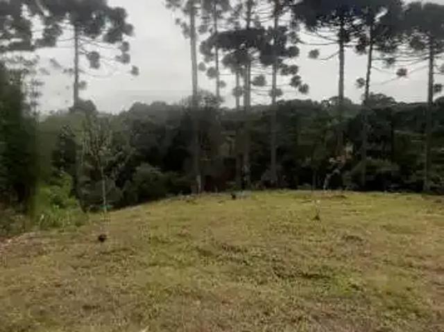 Sítio e chácara venda em Bocaiúva do Sul, Região Geográfica Intermediária de Curitiba