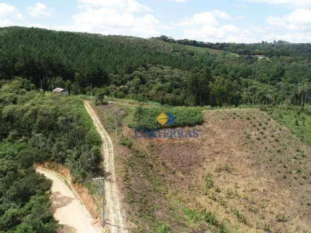 Sítio e chácara venda em Região Geográfica Imediata de Curitiba, Região Metropolitana de Curitiba