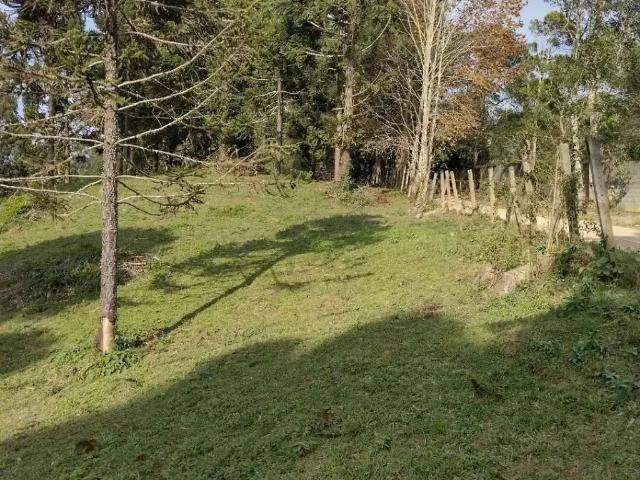 Sítio e chácara venda em Região Geográfica Imediata de Curitiba, Região Metropolitana de Curitiba