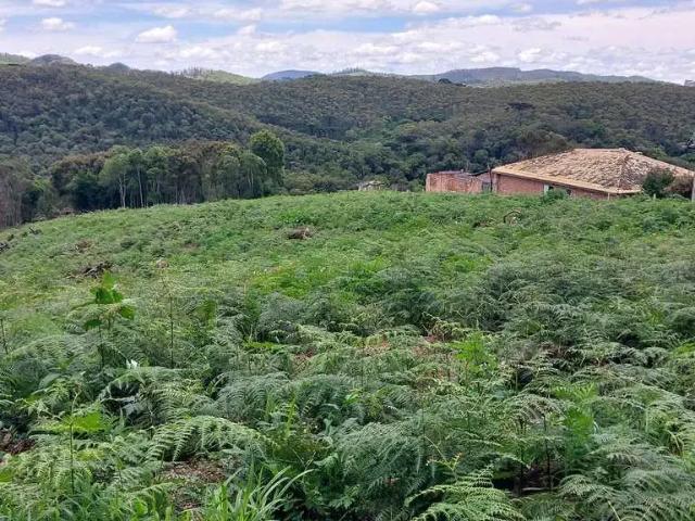 Sítio e chácara venda em Região Geográfica Imediata de Curitiba, Região Metropolitana de Curitiba