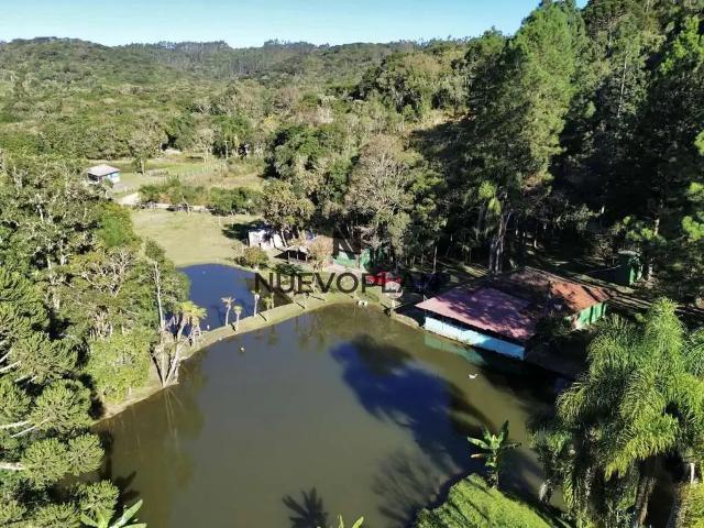 Sítio e chácara venda em Região Geográfica Imediata de Curitiba, Região Metropolitana de Curitiba
