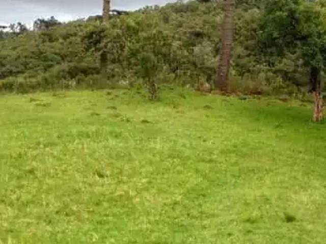 Sítio e chácara venda em Região Geográfica Imediata de Curitiba, Região Metropolitana de Curitiba