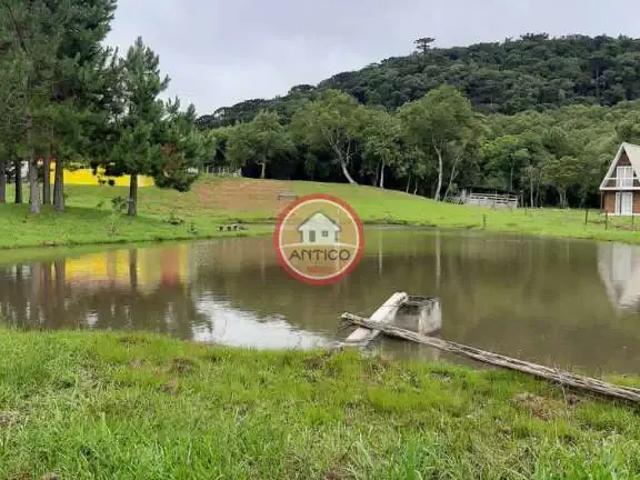 Sítio e chácara venda em Região Geográfica Imediata de Curitiba, Região Metropolitana de Curitiba