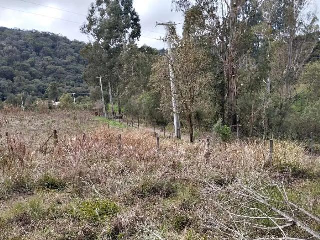 Sítio e chácara venda em Região Geográfica Imediata de Curitiba, Região Metropolitana de Curitiba