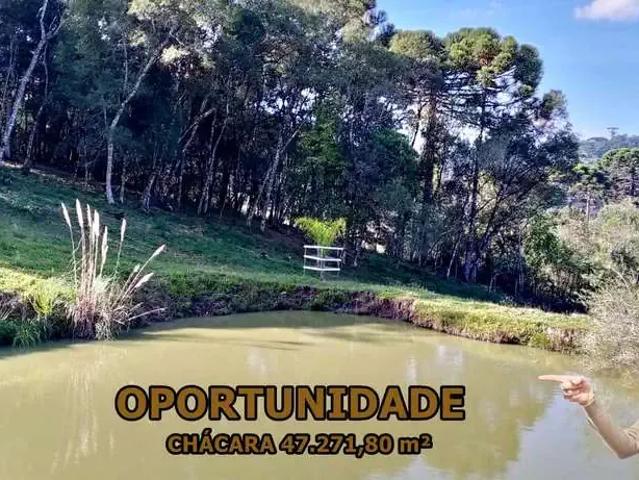 Sítio e chácara venda em Região Geográfica Imediata de Curitiba, Região Metropolitana de Curitiba