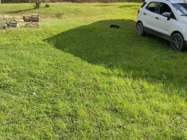 Sítio e chácara venda em Região Geográfica Imediata de Curitiba, Região Metropolitana de Curitiba