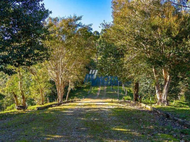 Sítio e chácara venda em Região Geográfica Imediata de Curitiba, Região Metropolitana de Curitiba