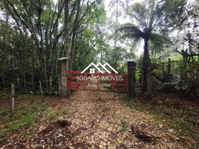 Sítio e chácara venda em Região Geográfica Imediata de Curitiba, Região Metropolitana de Curitiba