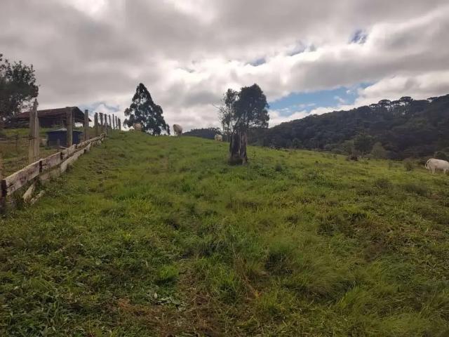 Sítio e chácara venda em Região Geográfica Imediata de Curitiba, Região Metropolitana de Curitiba