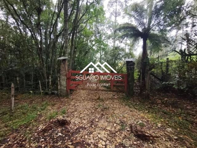 Sítio e chácara venda em Região Geográfica Imediata de Curitiba, Região Metropolitana de Curitiba