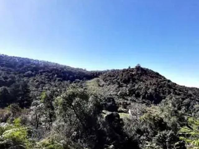 Sítio e chácara venda em Região Geográfica Imediata de Curitiba, Região Metropolitana de Curitiba