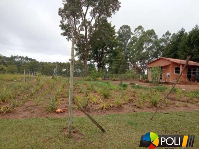 Sítio e chácara venda em Região Geográfica Imediata de São Bento do Sul-Rio Negrinho, Campo Alegre