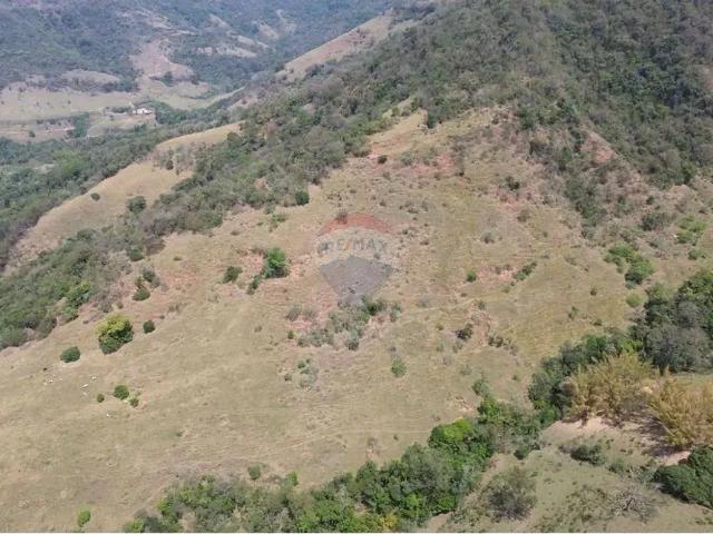 Sítio e chácara venda em Bofete