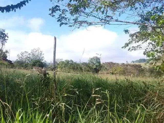 Sítio e chácara venda em Região Imediata de Botucatu, Bofete