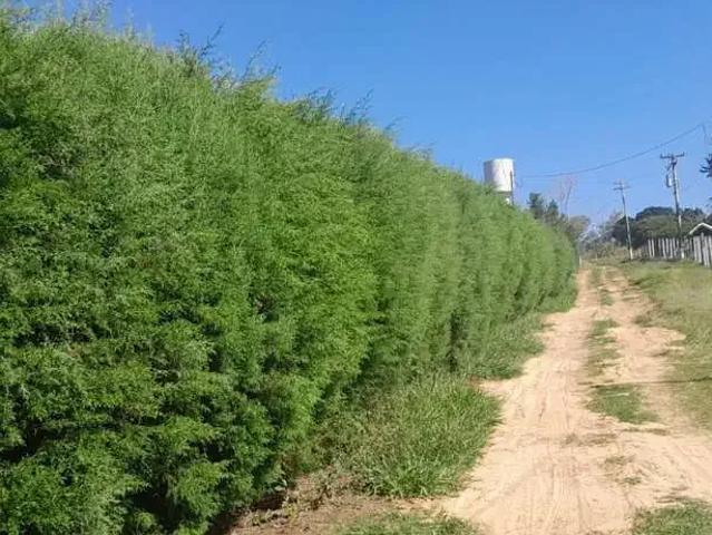 Sítio e chácara venda em Região Imediata de Botucatu, Bofete