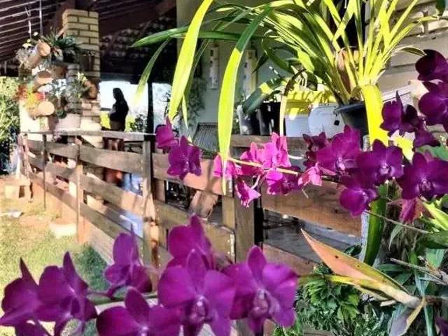 Sítio e chácara venda em Ricieri Primo (Proposto), Boituva