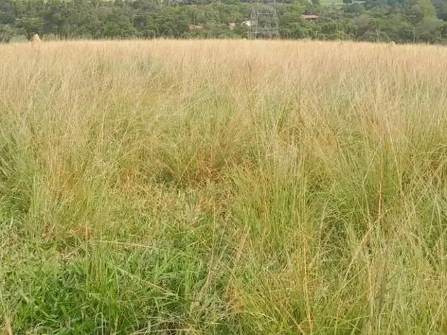 Sítio e chácara venda em Região Imediata de Sorocaba, Região Metropolitana de Sorocaba