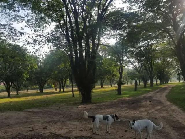 Sítio e chácara venda em Região Imediata de Sorocaba, Região Metropolitana de Sorocaba