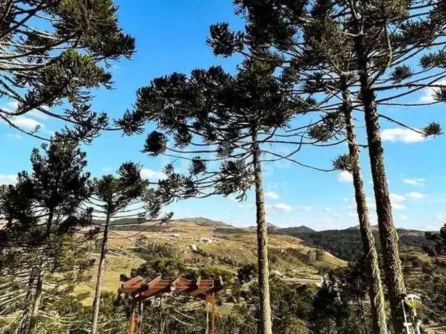 Sítio e chácara venda em Região Geográfica Imediata de Lages, Bom Jardim da Serra