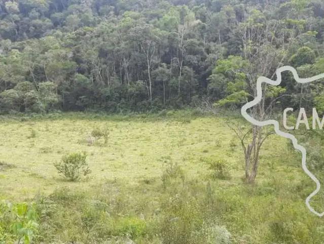 Sítio e chácara venda em Região Geográfica Imediata de Pará de Minas, Pará de Minas