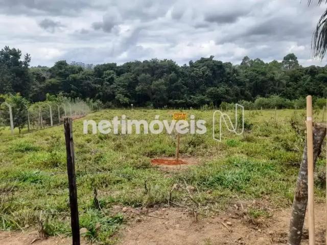 Sítio e chácara venda em Região Geográfica Imediata de Itabira, Bom Jesus do Amparo