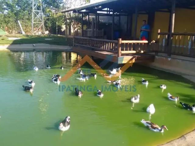 Sítio e chácara venda em Região Geográfica Imediata de Caratinga, Bom Jesus do Galho