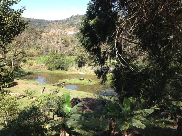 Sítio e chácara venda em Região Imediata de Bragança Paulista, Bom Jesus dos Perdões