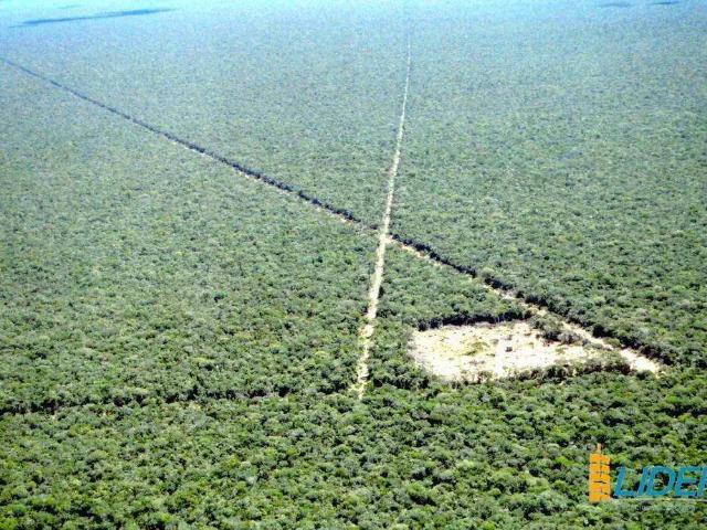 Sítio e chácara venda em Bom Jesus, Região Nordeste