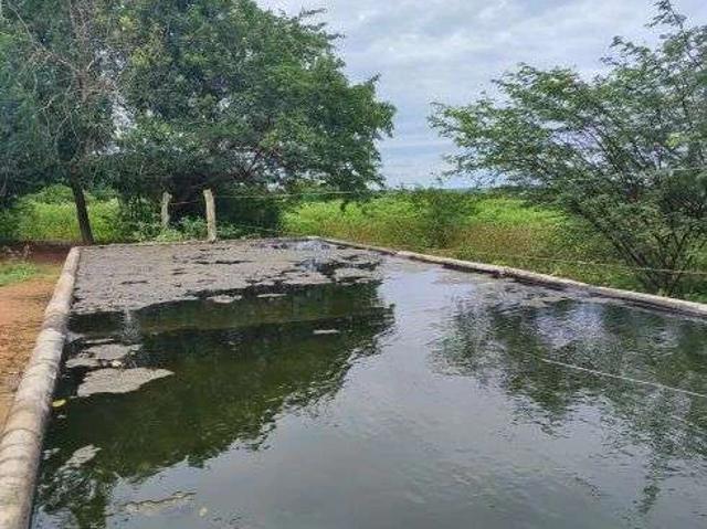 Sítio e chácara venda em Centro, Bom Jesus