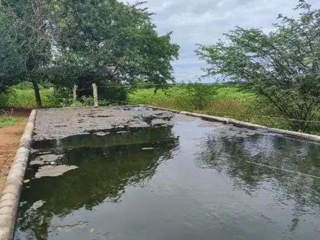 Sítio e chácara venda em Região Geográfica Imediata de Vacaria, Bom Jesus
