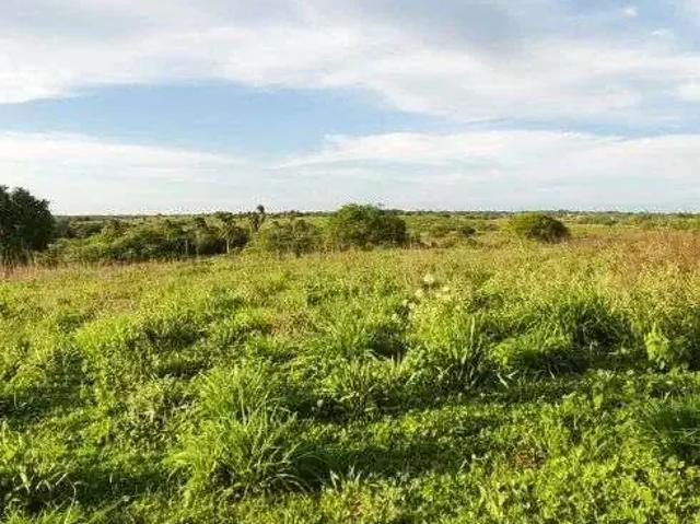 Sítio e chácara venda em Região Geográfica Imediata de Vacaria, Bom Jesus