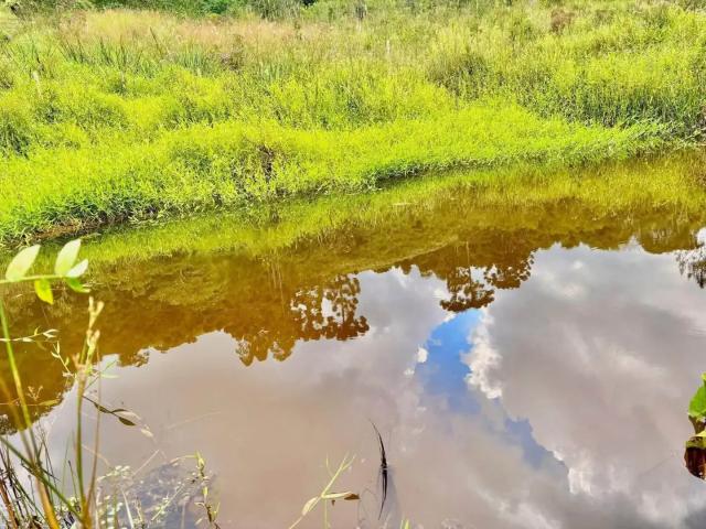Sítio e chácara venda em Região Geográfica Imediata de Pouso Alegre, Bom Repouso