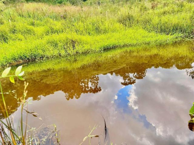 Sítio e chácara venda em Região Geográfica Imediata de Pouso Alegre, Bom Repouso