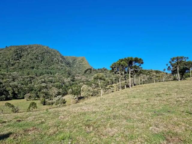 Sítio e chácara venda em Região Geográfica Imediata de Lages, Bom Retiro