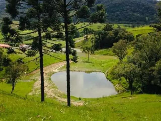 Sítio e chácara venda em Região Geográfica Imediata de Lages, Bom Retiro