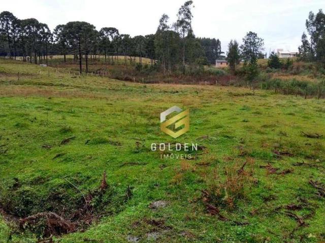 Sítio e chácara venda em Bom Retiro, Região Geográfica Intermediária de Lages