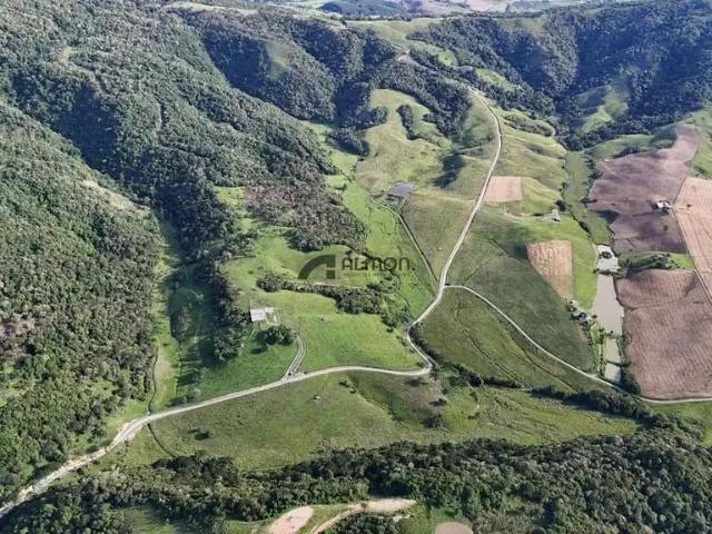 Sítio e chácara venda em Região Geográfica Imediata de Lages, Bom Retiro