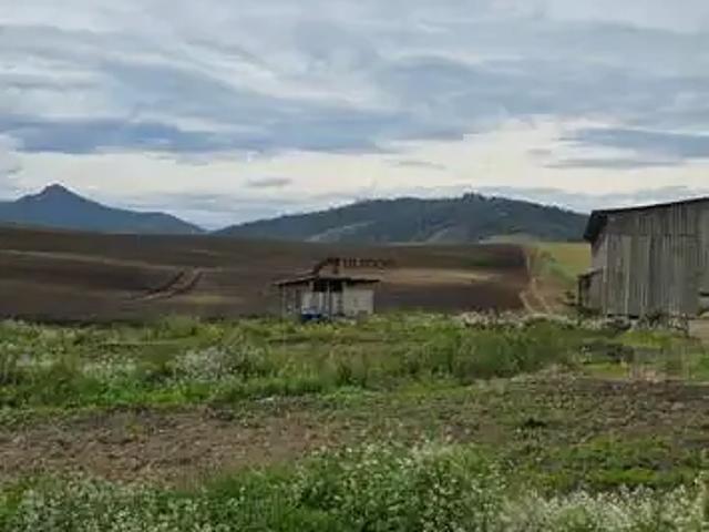 Sítio e chácara venda em Região Geográfica Imediata de Lages, Bom Retiro