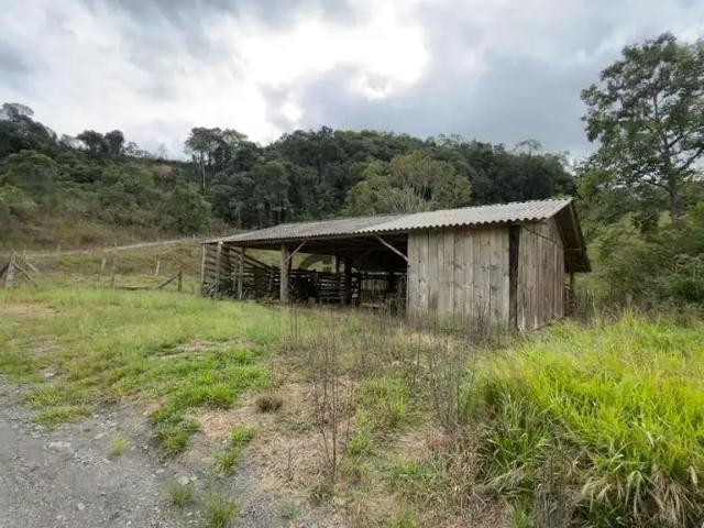 Sítio e chácara venda em Região Geográfica Imediata de Lages, Bom Retiro