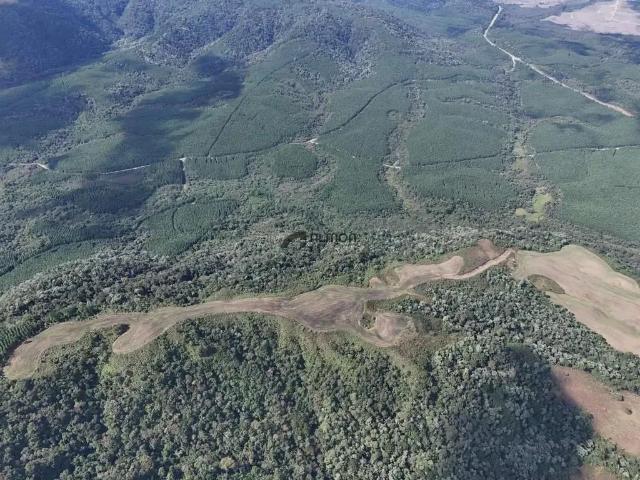Sítio e chácara venda em Região Geográfica Imediata de Joinville, Joinville
