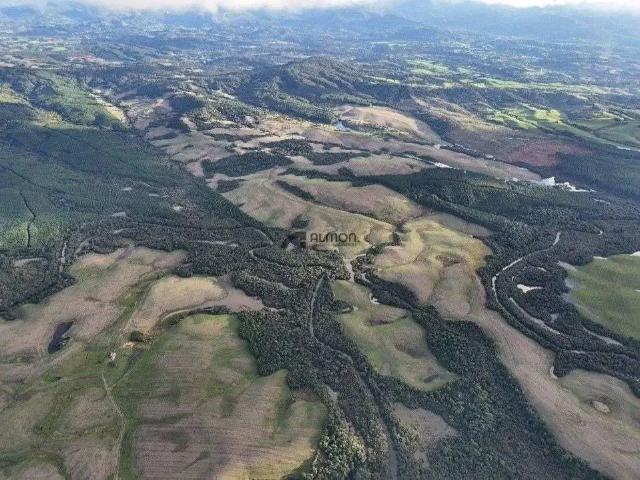Sítio e chácara venda em Região Geográfica Imediata de Lages, Bom Retiro