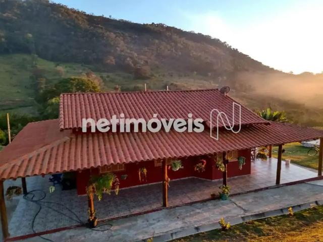 Sítio e chácara venda em Região Geográfica Imediata de Oliveira, Bonfim