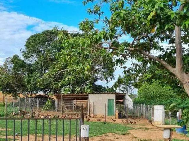Sítio e chácara venda em Região Geográfica Imediata de Unaí, Bonfinópolis de Minas