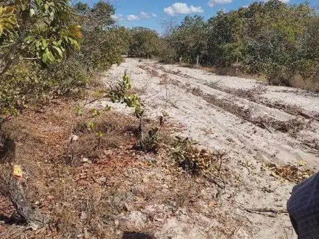 Sítio e chácara venda em Região Geográfica Imediata de Januária, Bonito de Minas