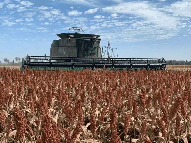 Sítio e chácara venda em Região Geográfica Imediata de Jardim, Bonito